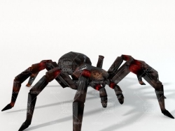 C4Dͼ֩ģ Tarantula poisonous spider insect