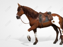 C4Dƨģ Horse model