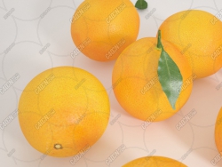 ˮģ Oranges Fruit model