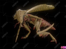 C4D+BLENDERҰ޿ƻöģ Insectoid Monster Rig