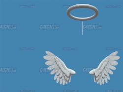 ʹģ angel wing