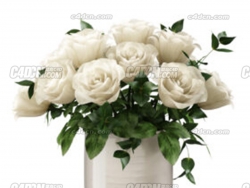ͳõ廨ƿģ Salina Traditional Large Pot with Roses