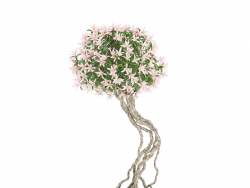 C4DͿģ Flowering Tree in Concrete Pot