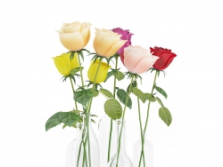 C4Dõ岣ƿͻģ Roses in Glass Vases