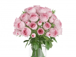 C4Dƿķۺɫõ廨ģ Pink Roses in Glass Vase