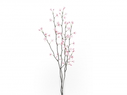 C4Dƿ֦ģ Flowering Tree Twigs in Glass Vase