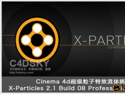 X-Particles2.1нͰĵ棨BUG