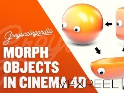GSG-ʹ̬αǩζЧ̳ Morph In C4D