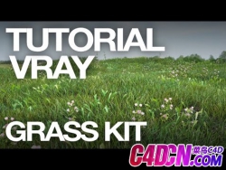 C4DݵԤ軨ֲ̬̳ Grass Kit