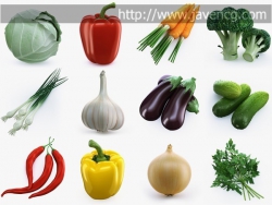14׸߾߲ģͼTurbosquid C Collection of Vegetables