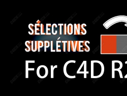 C4DR23ѡvonc_selsuѡ渨Selections Suppletives for R23