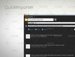 AE+PRزٵ Quick Importer For After Effects