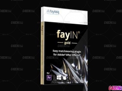 AE߼׷ٲ fayteq fayIN GOLD v2.4 WIN+MAC cc2014-2