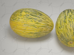 ˮģ Futuro Melon Fruit model