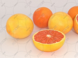 ˮģ Grapefruits Fruit model