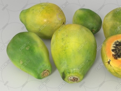 ľˮģ Papayas Fruit model
