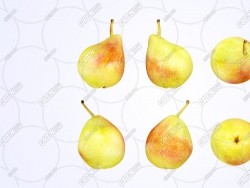 ˮģ Pears Fruit model