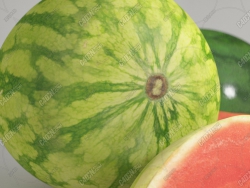 ˮģ Water Melon Fruit model