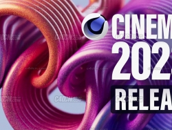 Cinema 4D 2023.2¹ܽ˵̳