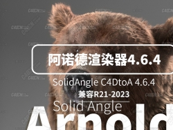 C4DŵȾ4.6.4 Arnold SolidAngle C4DtoA ֧R21-2023