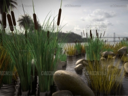 池塘水面石头水草植物模型 Ground Cover Foliage Showcase