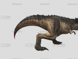 撕咬动作恐龙决斗捕猎动物模型包含骨骼绑定动画