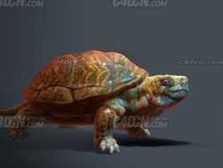 C4Dβͷֲĺڹģ Turtle Model