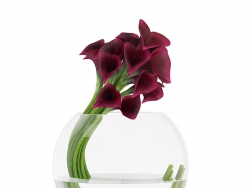 C4Dλƿͻģ Calla Lilies in Spherical Vase