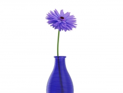 C4Dɫƿɫģ Small Purple Flower in Blue Vase