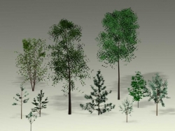 C4Dɭľģ Trees, Saplings low-poly 3d model