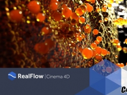 C4Dv1.0.1.0095 Nextlimit Realflow Cinema 4D v1.0.1.0095